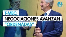 Avanza ronda de negociaciones sobre el T-MEC de manera ordenada: Secretaría de Economía