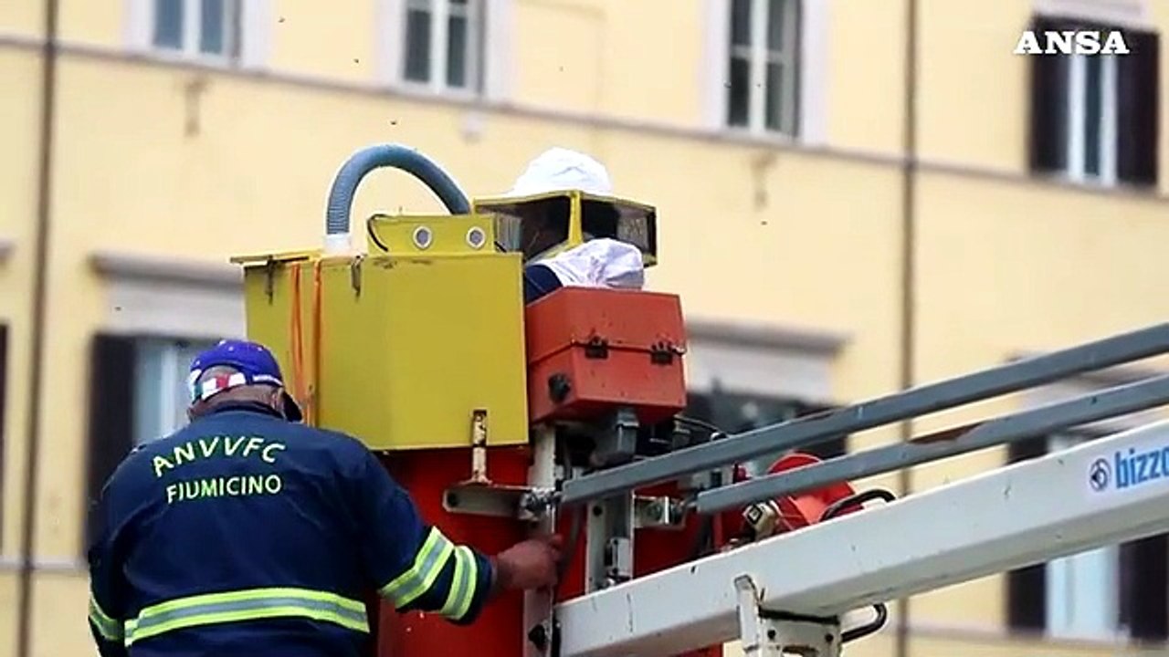 Recuperato sciame api in centro Roma, andra' alla Caffarella