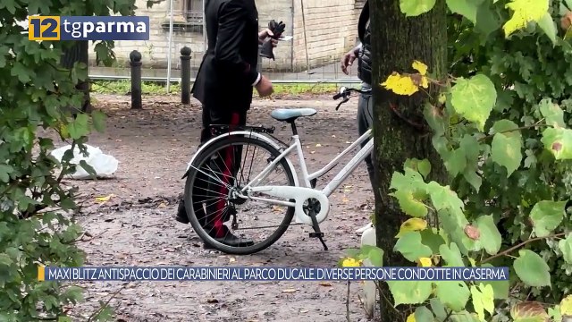 MAXI BLITZ ANTISPACCIO DEI CARABINIERI AL PARCO DUCALE. DIVERSE PERSONE CONDOTTE IN CASERMA | MAXI BLITZ ANTISPACCIO DEI CARABINIERI AL PARCO DUCALE. DIVERSE PERSONE CONDOTTE IN CASERMA