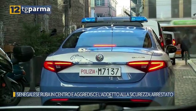 SENEGALESE RUBA IN CENTRO E AGGREDISCE L'ADDETTO ALLA SICUREZZA: ARRESTATO | SENEGALESE RUBA IN CENTRO E AGGREDISCE L'ADDETTO ALLA SICUREZZA: ARRESTATO