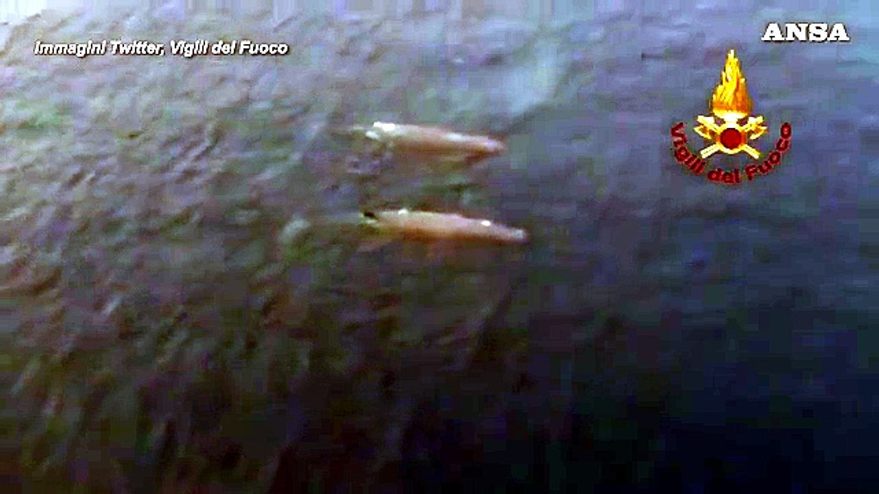Coppia di balene attraversa lo Stretto di Messina: le riprese dall'alto dei Vigili del Fuoco