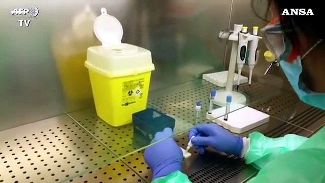 Coronavirus, Italia verso test del vaccino sull'uomo in estate