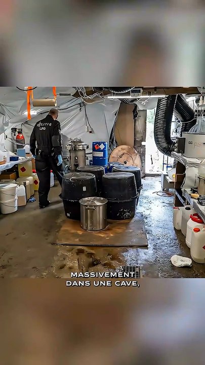 Tout savoir sur les kitchen labs 💊