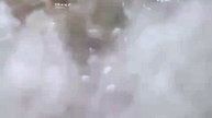 The Joy Behind the Gauze Curtains