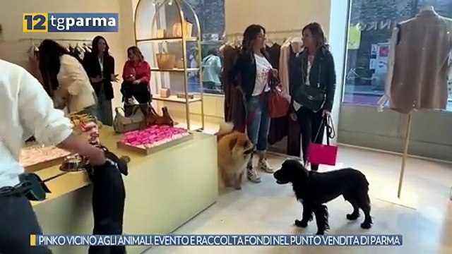 PINKO VICINO AGLI ANIMALI, EVENTO E RACCOLTA FONDI NEL PUNTO VENDITA DI PARMA | PINKO VICINO AGLI ANIMALI, EVENTO E RACCOLTA FONDI NEL PUNTO VENDITA DI PARMA