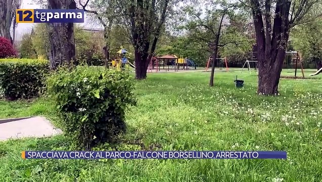 SPACCIAVA CRACK AL PARCO-FALCONE BORSELLINO, ARRESTATO | SPACCIAVA CRACK AL PARCO-FALCONE BORSELLINO, ARRESTATO