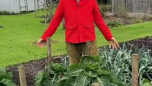 Comment organiser ses plantations pour toute l'année