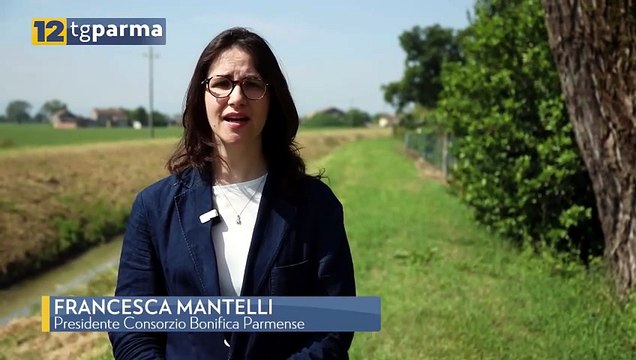BONIFICA PARMENSE: AL VIA GLI SFALCI IN 14 COMUNI DEL TERRITORIO PARMENSE | BONIFICA PARMENSE: AL VIA GLI SFALCI IN 14 COMUNI DEL TERRITORIO PARMENSE