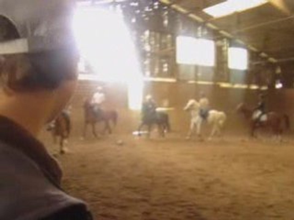 Entraînement Horse-ball 15 juin