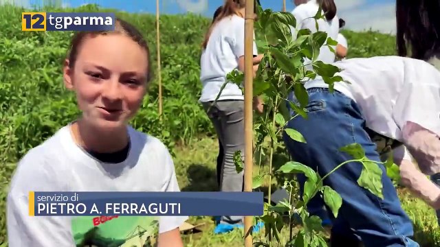 LESIGNANO: INAUGURATO UN NUOVO BOSCO URBANO | LESIGNANO: INAUGURATO UN NUOVO BOSCO URBANO
