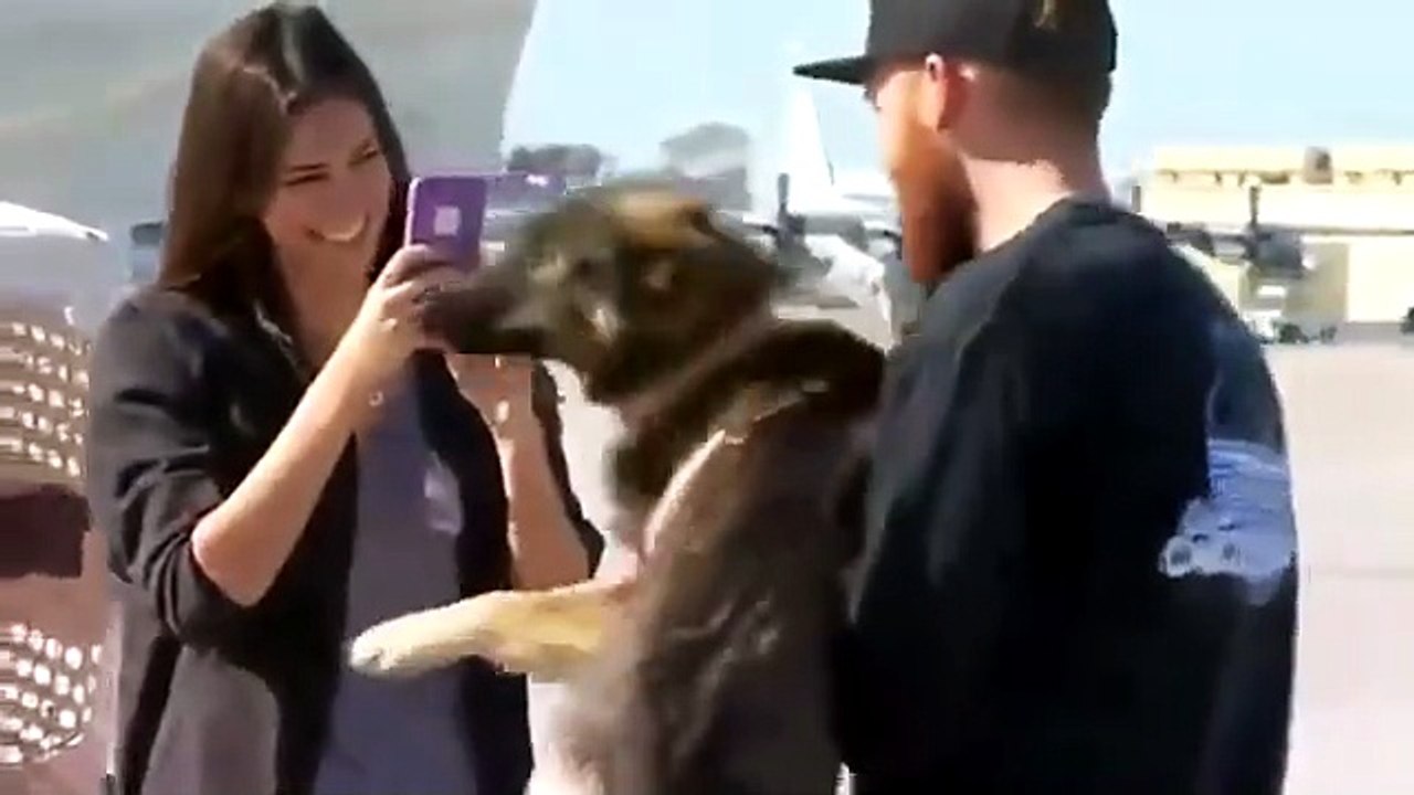 dopo 5 settimane cane salvato