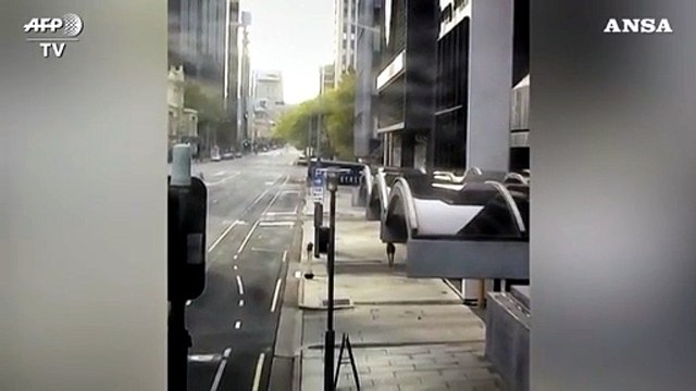 Coronavirus, in Australia canguro passeggia per le strade della citta'