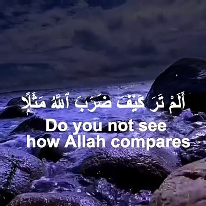 Surah Ibrahim Verses 24-26#shortsvideo #ʏᴏᴜᴛᴜʙᴇsʜᴏʀᴛs #ᴠɪʀᴀʟᴘᴏsᴛ #trendingreels❤️ #fypreel #fory
