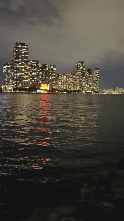 Nelson Wang watches a flock of geese on Roosevelt Island at night. This video was recorded on May 29, 2026.