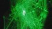 Laser beam effects - Spartan green laser pointer