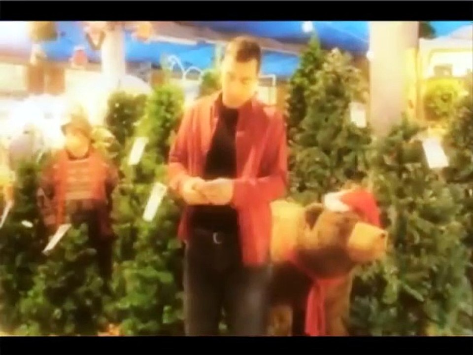 io parlo parmigiano natale
