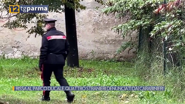 RISSA AL PARCO DUCALE, QUATTRO STRANIERI DENUNCIATI DAI CARABINIERI | RISSA AL PARCO DUCALE, QUATTRO STRANIERI DENUNCIATI DAI CARABINIERI