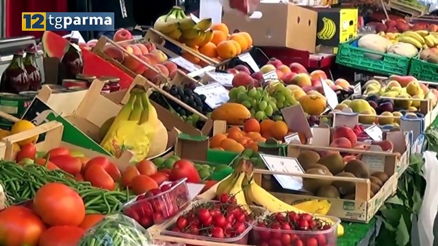 ATTIVITÀ FISICA E DIETA PER STAR BENE NONOSTANTE IL CALDO: CONGILI DEGLI ESPERTI | ATTIVITÀ FISICA E DIETA PER STAR BENE NONOSTANTE IL CALDO: CONGILI DEGLI ESPERTI