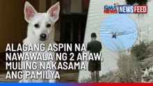 Alagang aspin na nawawala ng 2 araw, muling nakasama ang pamilya | GMA News Feed