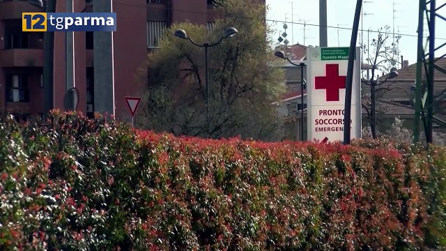 CARABINIERI: INDIVIDUATO IL RESPONSABILE DEL FERIMENTO AVVENUTO IN VIA GARIBALDI | CARABINIERI: INDIVIDUATO IL RESPONSABILE DEL FERIMENTO AVVENUTO IN VIA GARIBALDI