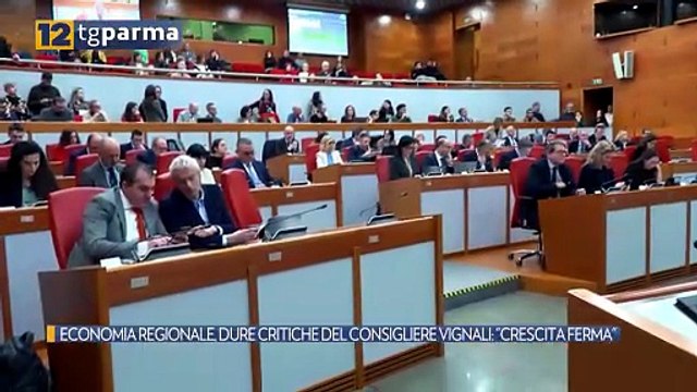 ECONOMIA REGIONALE, DURE CRITICHE DEL CONSIGLIERE VIGNALI: CRESCITA FERMA | ECONOMIA REGIONALE, DURE CRITICHE DEL CONSIGLIERE VIGNALI: CRESCITA FERMA