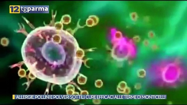 ALLERGIE, POLLINI E POLVERI SOTTILI: CURE EFFICACI ALLE TERME DI MONTICELLI | ALLERGIE, POLLINI E POLVERI SOTTILI: CURE EFFICACI ALLE TERME DI MONTICELLI