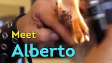barbiere