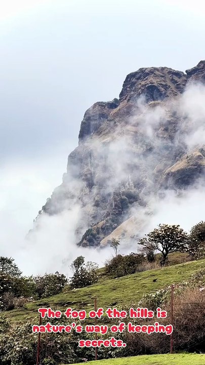 Nature