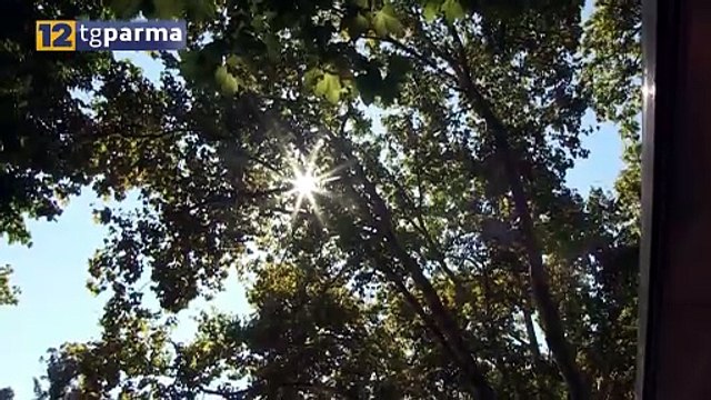 METEO: NUOVA ONDATA DI CALORE, SETTIMANA TORRIDA A PARMA | METEO: NUOVA ONDATA DI CALORE, SETTIMANA TORRIDA A PARMA