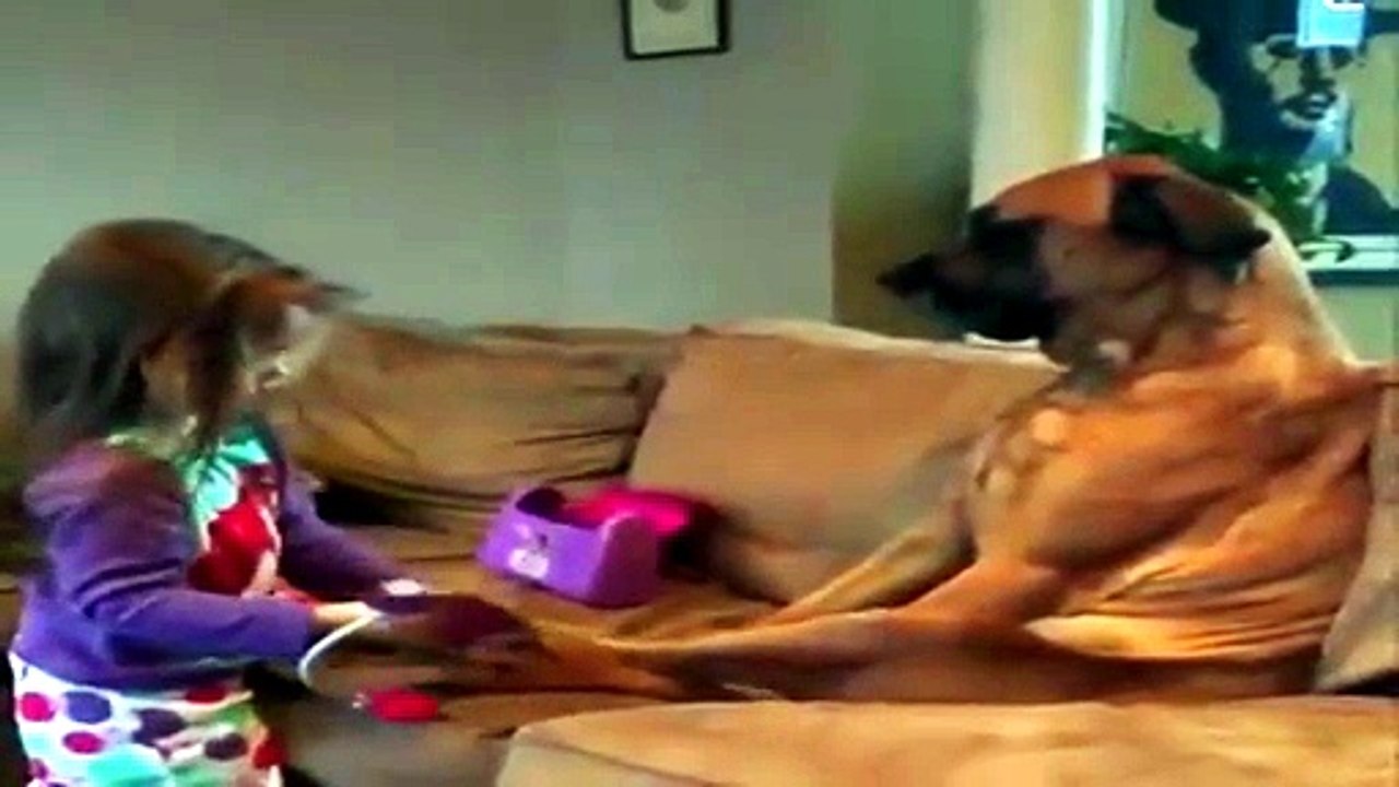 banbina dottore cura il cane