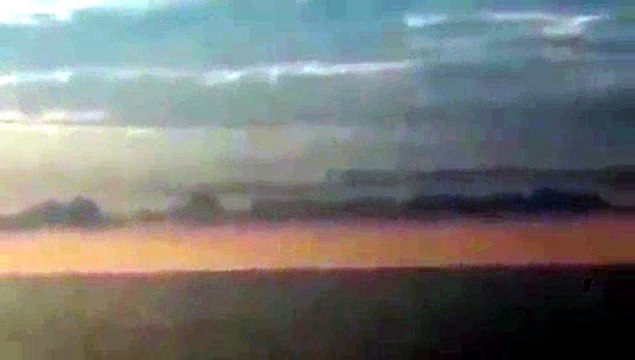 Balene e delfini danzano nel mare incontaminato del Cilento