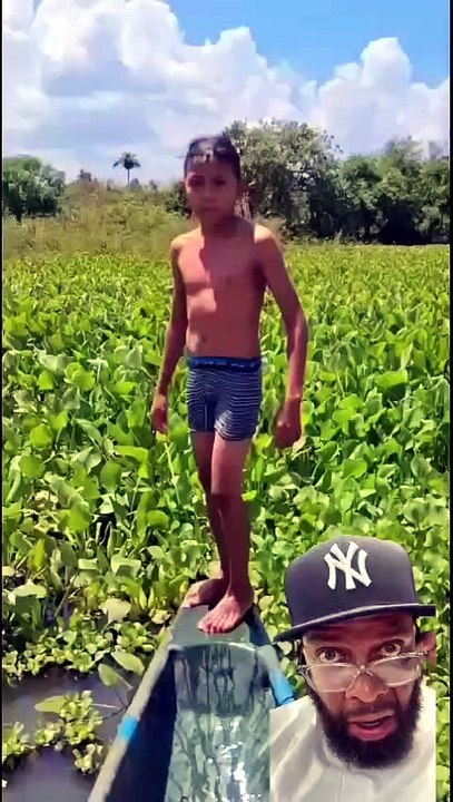 Crocodile and the brave child