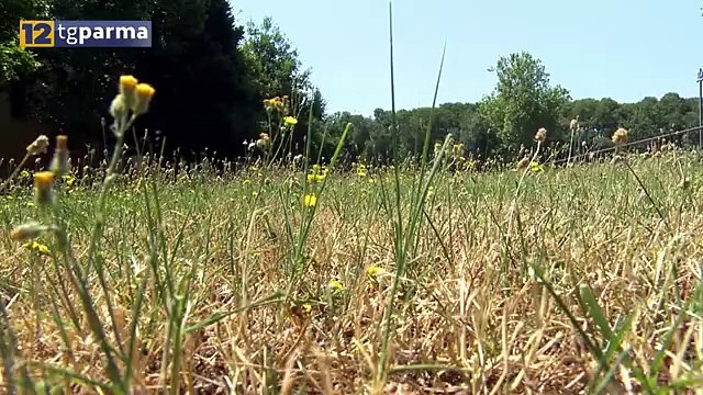 Meteo: l'estate 2019 la quinta più calda di sempre a Parma