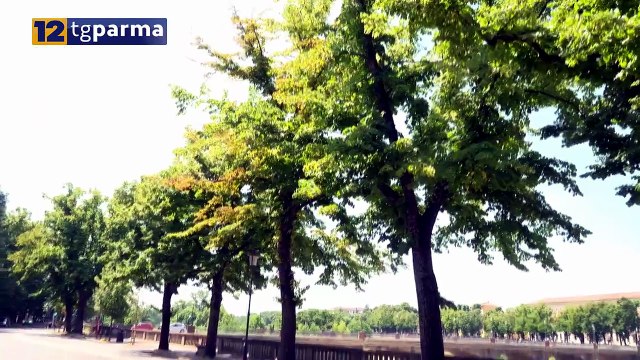 EMEREGENZA CALDO: TANTI ACCESSI ALL'OSPEDALE MAGGIORE, ANZIANI A RISCHIO | EMEREGENZA CALDO: TANTI ACCESSI ALL'OSPEDALE MAGGIORE, ANZIANI A RISCHIO