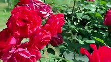 42e09614e907dc65d32f325b3673ad6f