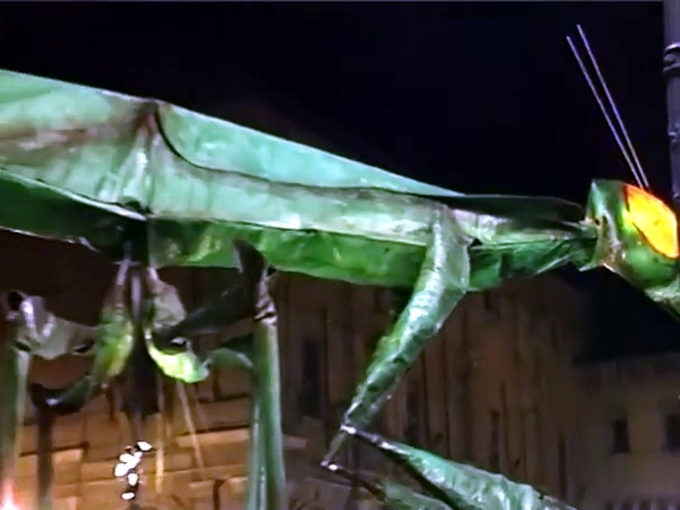 caponno 2001