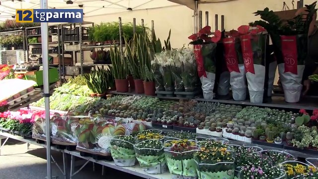 IN VIA VERDI È TORNATO IL MERCATO EUROPEO. ANDRÀ AVANTI FINO A DOMENICA | IN VIA VERDI È TORNATO IL MERCATO EUROPEO. ANDRÀ AVANTI FINO A DOMENICA