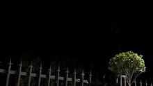InShot_20260530_111635073
