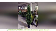 Simulation Green Plants Wholesale Pine Pots Hotel Floor - Simple But Practical | Smart Choice |