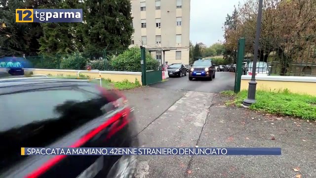 SPACCATA A MAMIANO, 42ENNE STRANIERO DENUNCIATO | SPACCATA A MAMIANO, 42ENNE STRANIERO DENUNCIATO
