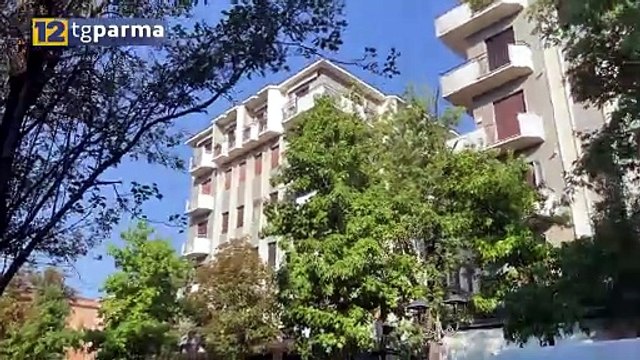 SALSO, PIANTE CADUTE IN VIALE MATTEOTTI. L'ACERO ERA IN ATTESA DI ABBATTIMENTO | SALSO, PIANTE CADUTE IN VIALE MATTEOTTI. L'ACERO ERA IN ATTESA DI ABBATTIMENTO