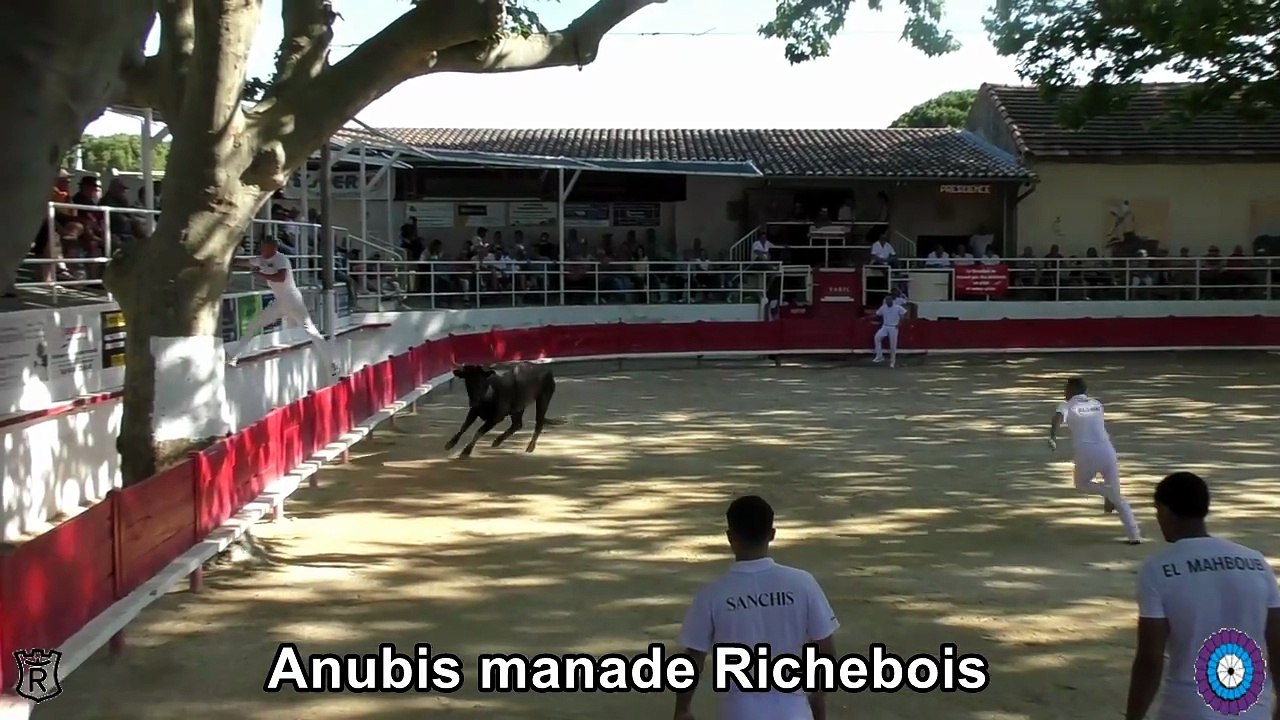 2026 05 25 Anubis