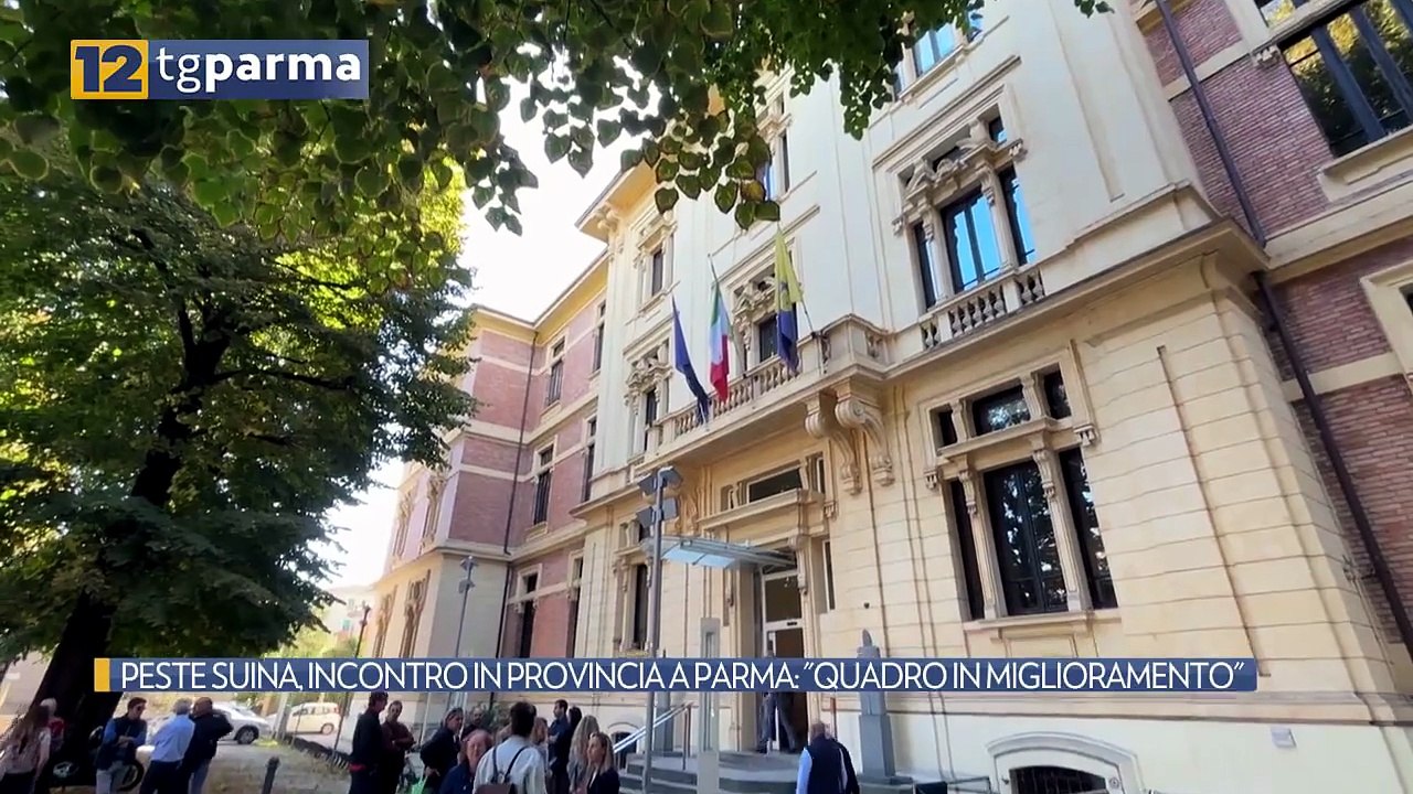 PESTE SUINA, INCONTRO IN PROVINCIA A PARMA: "QUADRO IN MIGLIORAMENTO" | PESTE SUINA, INCONTRO IN PROVINCIA A PARMA: "QUADRO IN MIGLIORAMENTO"