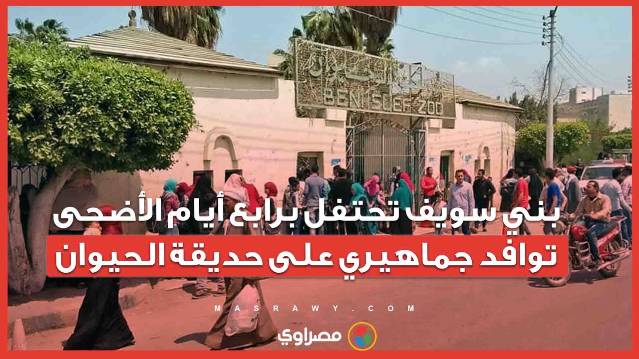 بني سويف تحتفل برابع أيام الأضحى.. توافد جماهيري على حديقة الحيوان