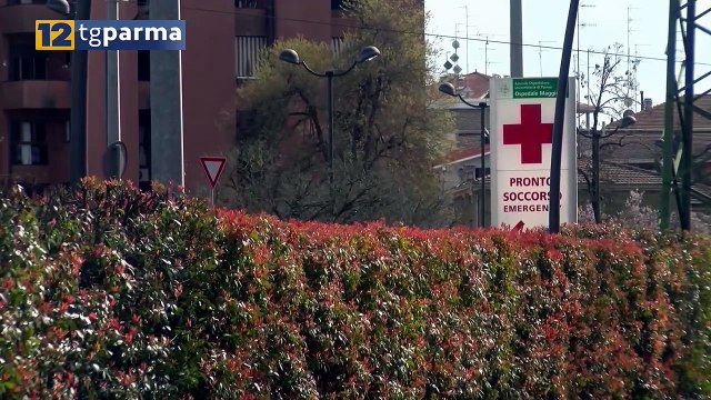 AGGUATO SULLA VIA EMILIA: CACCIA ALL'UOMO CHE HA SPARATO | AGGUATO SULLA VIA EMILIA: CACCIA ALL'UOMO CHE HA SPARATO