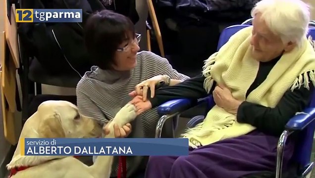 IN EMILIA-ROMAGNA CANI E GATTI AMMESSI NELLE STRUTTURE PER ANZIANI | IN EMILIA-ROMAGNA CANI E GATTI AMMESSI NELLE STRUTTURE PER ANZIANI