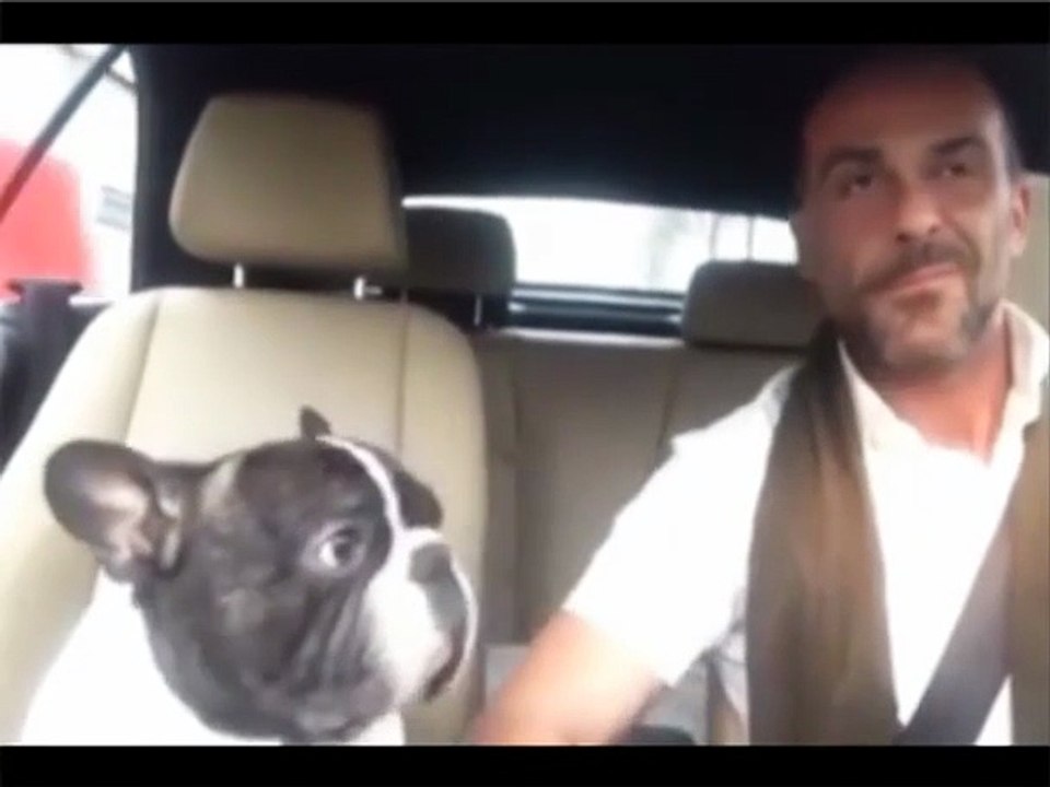 cane canta