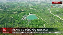 Çorum’un saklı cenneti Yeşil Göl doğaseverlerin ilgisini çekiyor