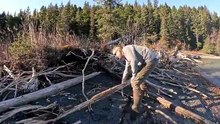 Bushcraft Shelter Camping Under Northern Lights (Best Campfire Meal Ever!)