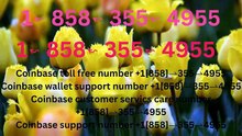 Official Coinbase™ Toll Free℗ Phone Number Guide Step-by-Step Help & Support Coinbase™
